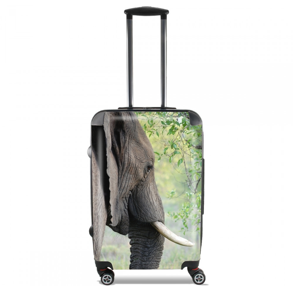 Elephant para Tamaño de cabina maleta
