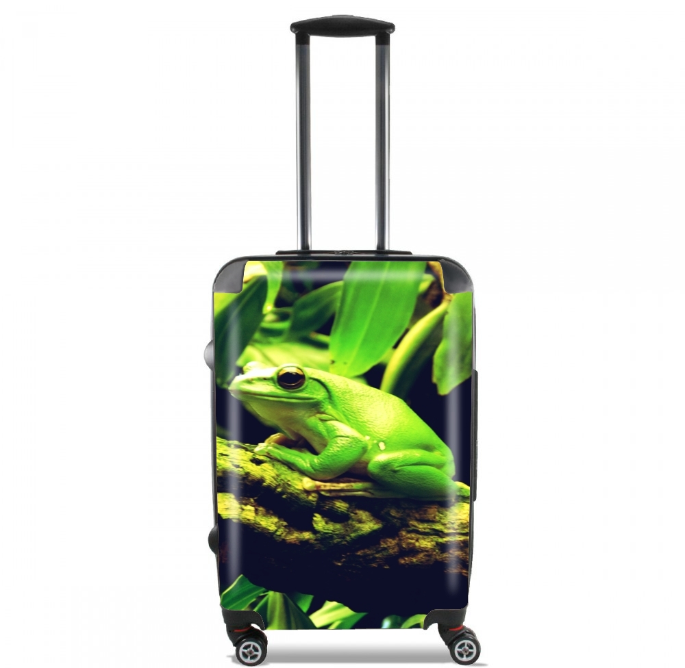  Green Frog para Tamaño de cabina maleta