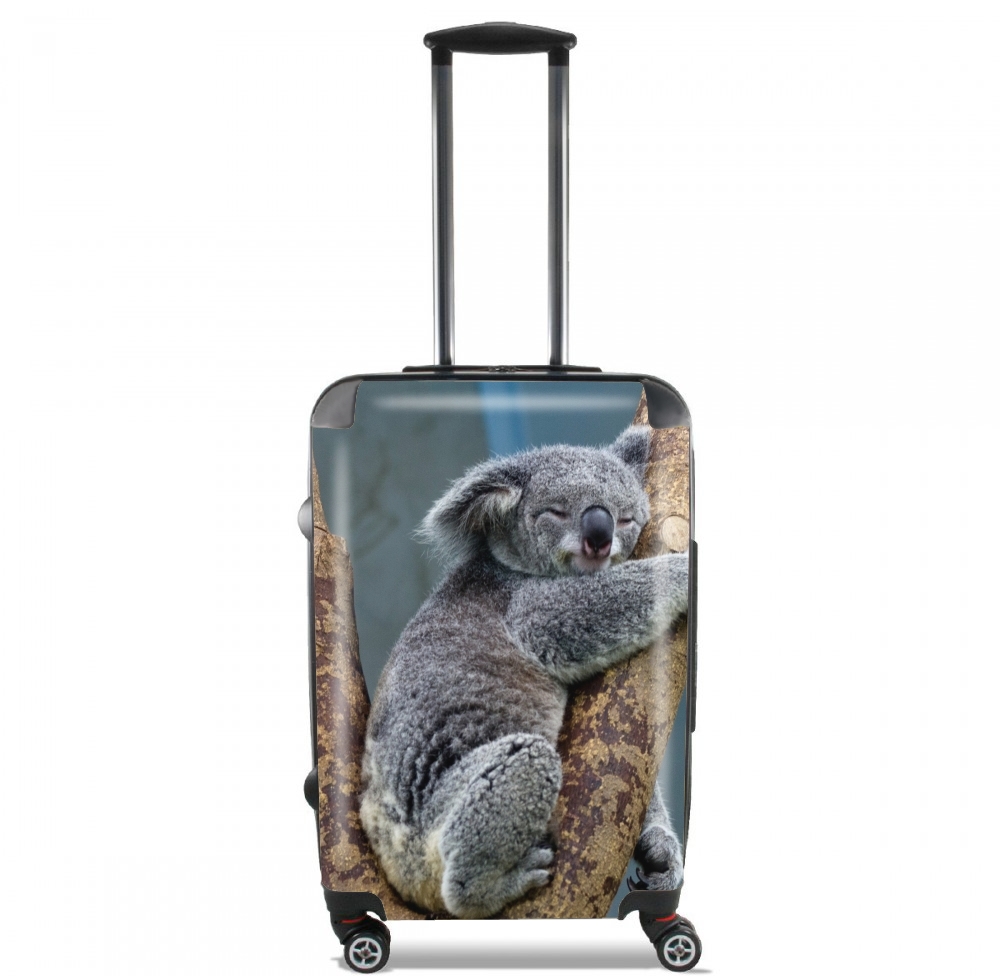  Koala Bear Australia para Tamaño de cabina maleta