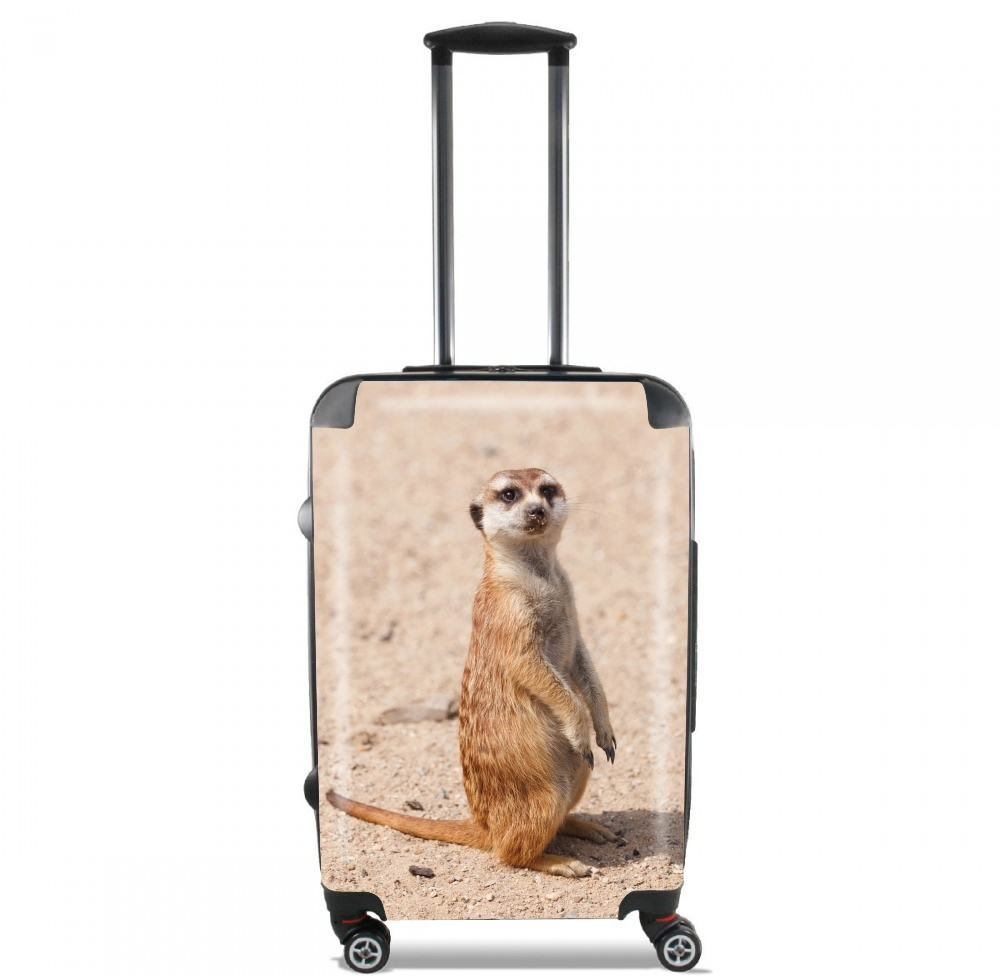  Meerkat para Tamaño de cabina maleta