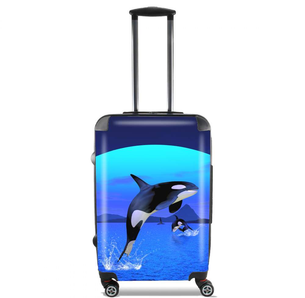  Orca Whale para Tamaño de cabina maleta