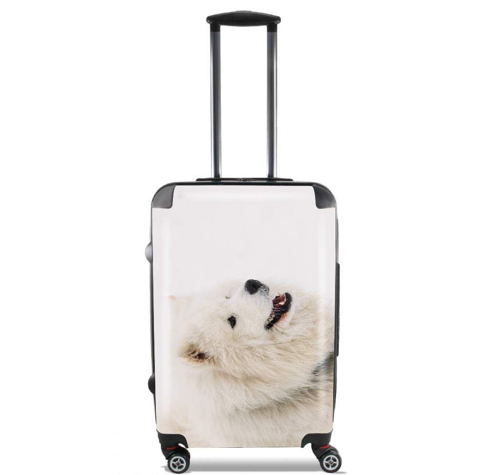  samoyede dog para Tamaño de cabina maleta