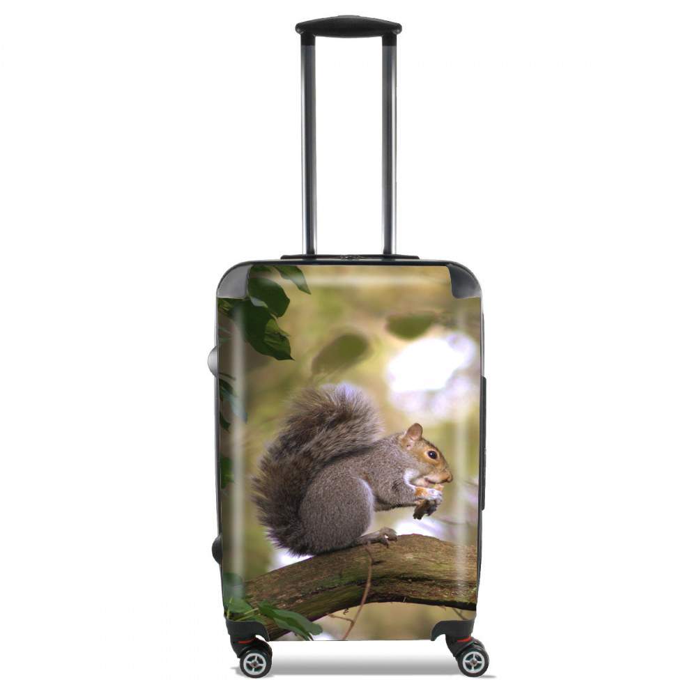  squirrel gentle para Tamaño de cabina maleta